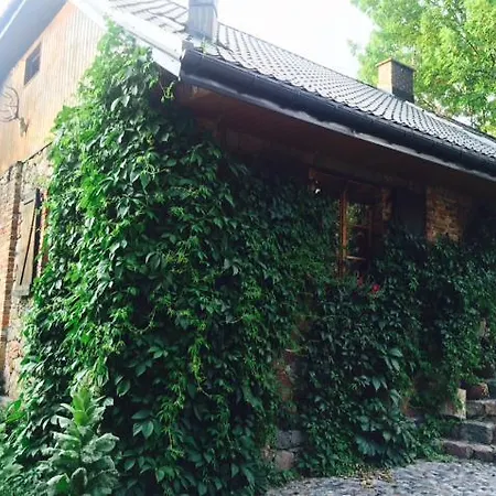 Kamienny Mlyn Wodny Lowczego * Zaborze (Losice)