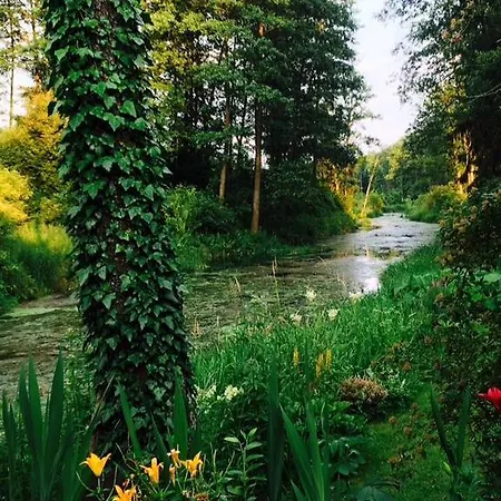 Kamienny Mlyn Wodny Lowczego *