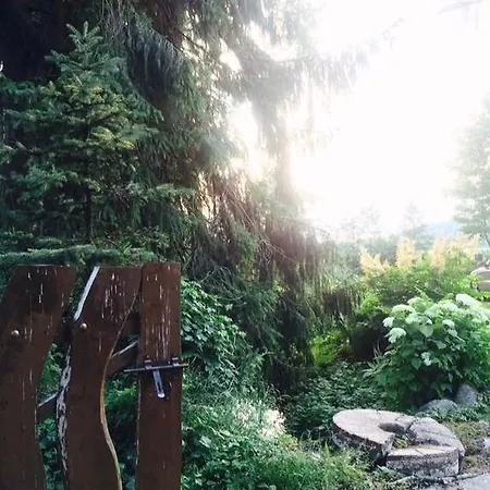 Kamienny Mlyn Wodny Lowczego