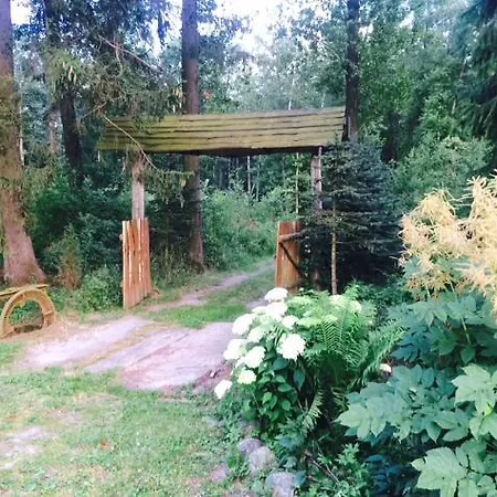 Kamienny Mlyn Wodny Lowczego * Zaborze (Losice)