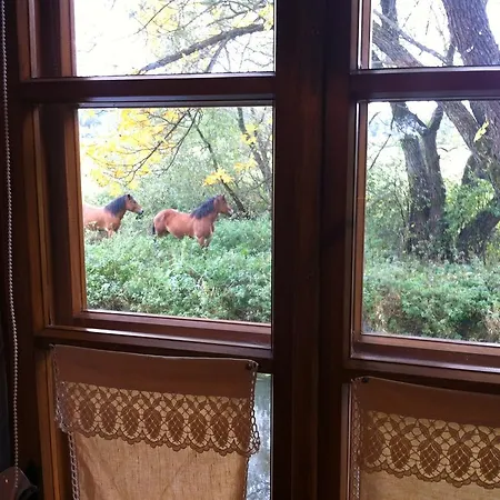 Дом отдыха Kamienny Mlyn Wodny Lowczego *