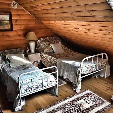 Kamienny Mlyn Wodny Lowczego * Zaborze (Losice)