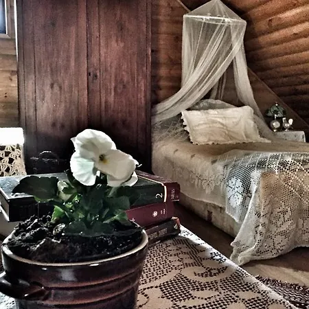 Kamienny Mlyn Wodny Lowczego Zaborze (Losice)