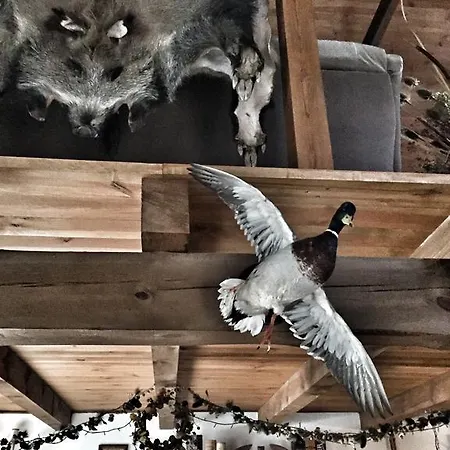 Kamienny Mlyn Wodny Lowczego Дом отдыха