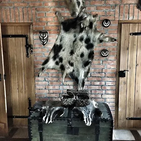 Дом отдыха Kamienny Mlyn Wodny Lowczego Zaborze (Losice)