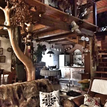 Kamienny Mlyn Wodny Lowczego *