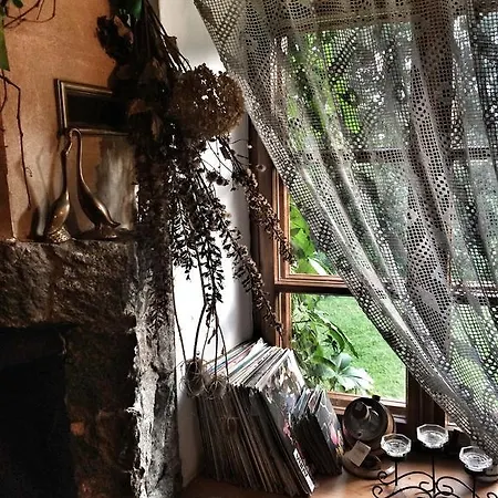 Kamienny Mlyn Wodny Lowczego * Zaborze (Losice)