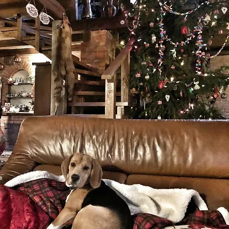 Дом отдыха Kamienny Mlyn Wodny Lowczego