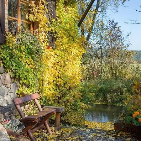 Kamienny Mlyn Wodny Lowczego *