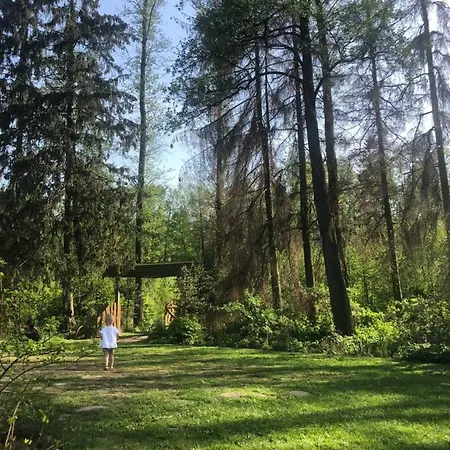 Kamienny Mlyn Wodny Lowczego *