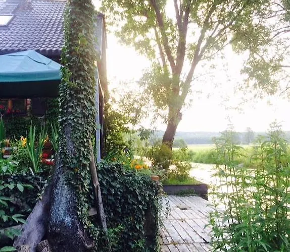 Kamienny Mlyn Wodny Lowczego *