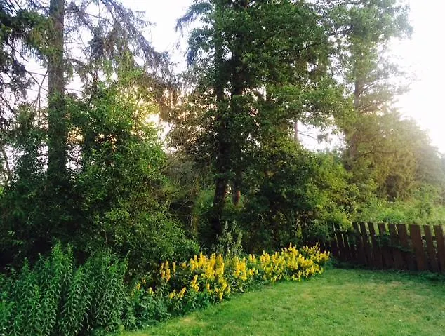 Semesterbostad Kamienny Mlyn Wodny Lowczego Zaborze (Losice)