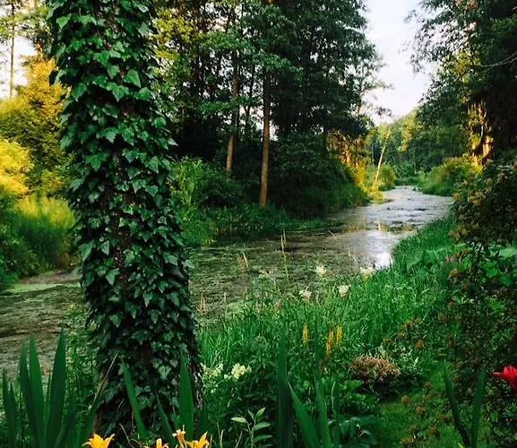 Kamienny Mlyn Wodny Lowczego *