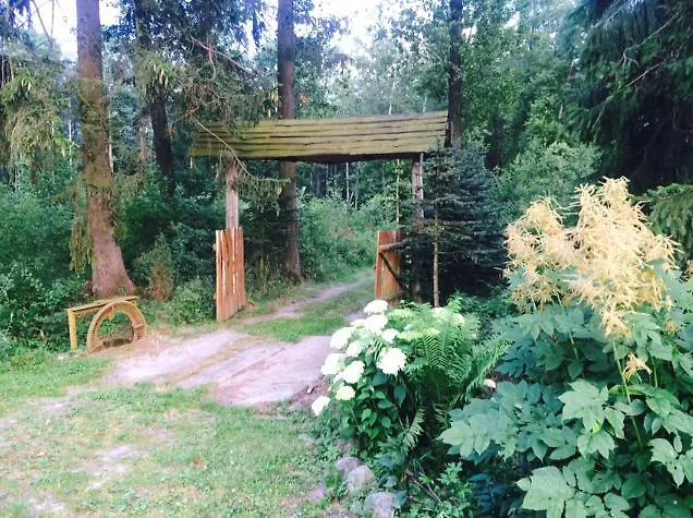 Kamienny Mlyn Wodny Lowczego * Zaborze (Losice)