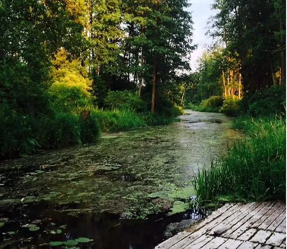 Kamienny Mlyn Wodny Lowczego *