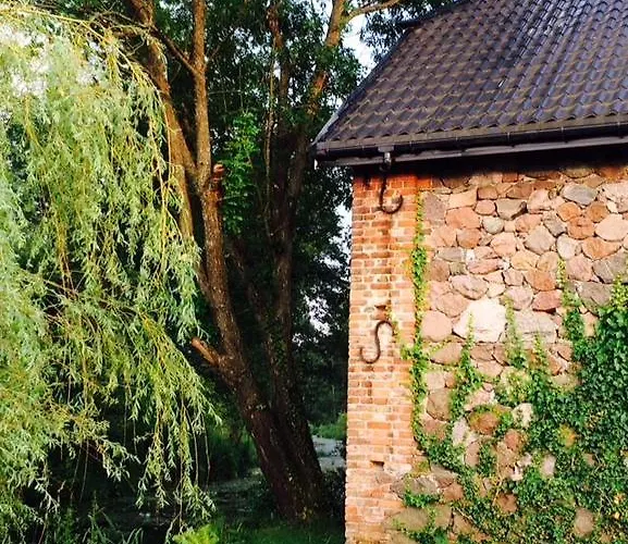 Kamienny Mlyn Wodny Lowczego Semesterbostad *