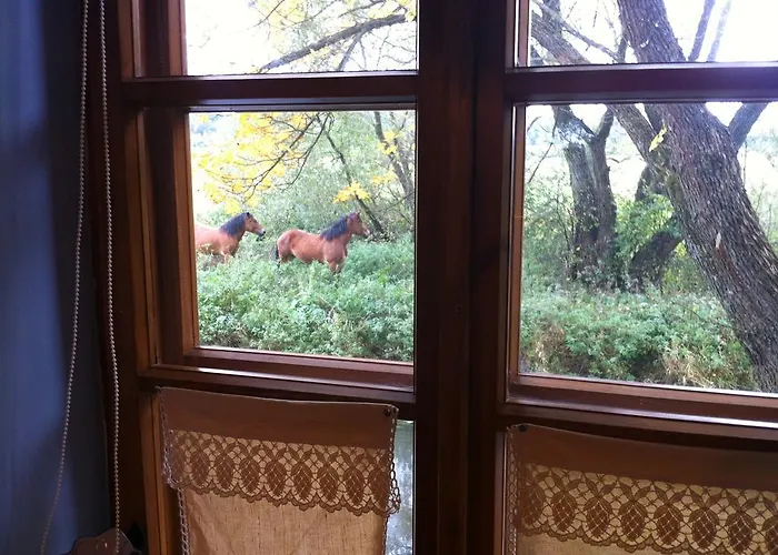 Semesterbostad Kamienny Mlyn Wodny Lowczego *