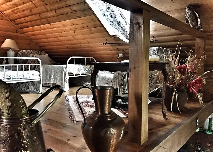 Kamienny Mlyn Wodny Lowczego Semesterbostad Zaborze (Losice)