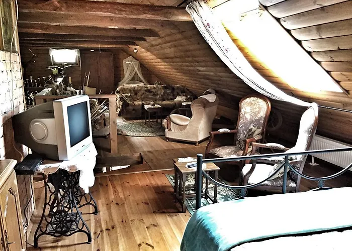 Kamienny Mlyn Wodny Lowczego * Zaborze (Losice)