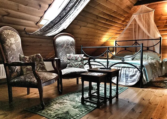 Kamienny Mlyn Wodny Lowczego Semesterbostad *