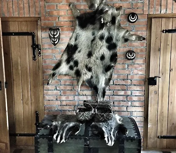 Semesterbostad Kamienny Mlyn Wodny Lowczego Zaborze (Losice)