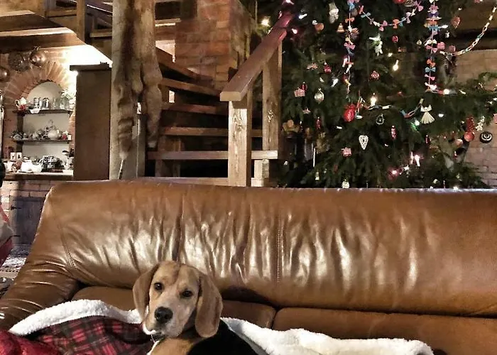 Semesterbostad Kamienny Mlyn Wodny Lowczego