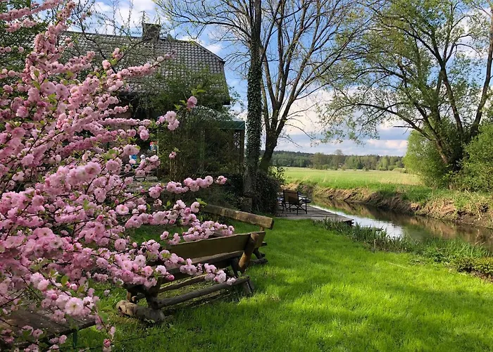 Kamienny Mlyn Wodny Lowczego * Zaborze (Losice)