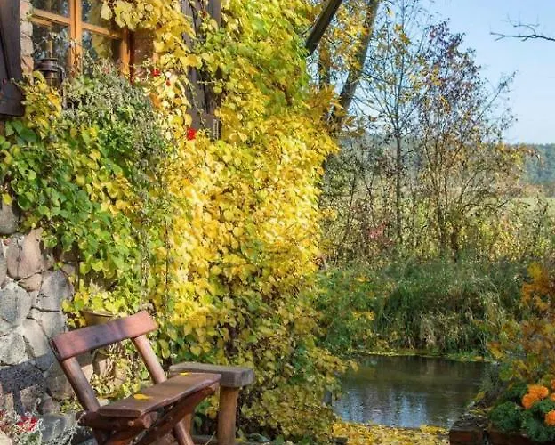 Kamienny Mlyn Wodny Lowczego *