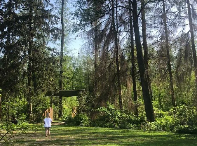 Kamienny Mlyn Wodny Lowczego *